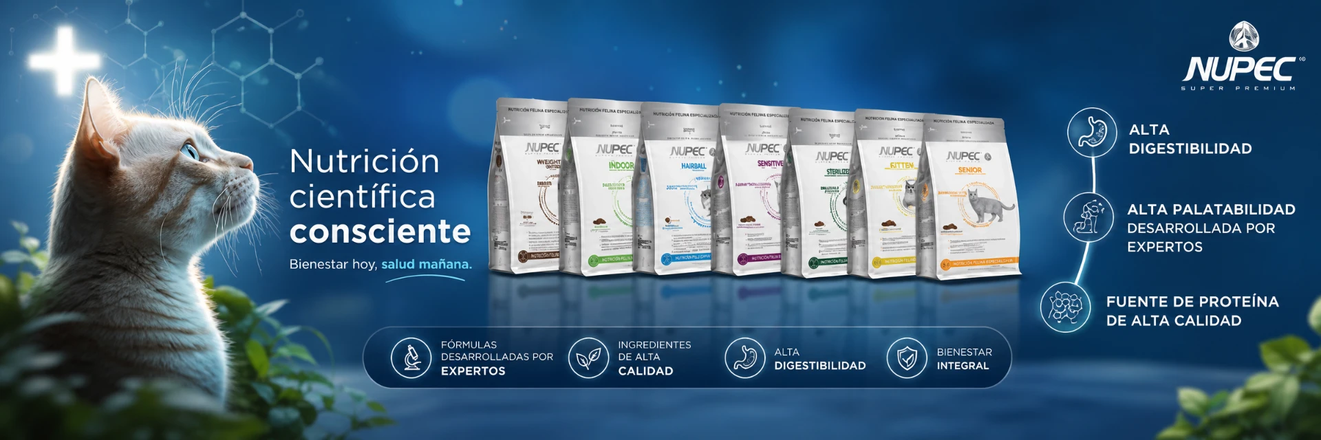 Nupec, nutrición felina especializada para cada necesidad