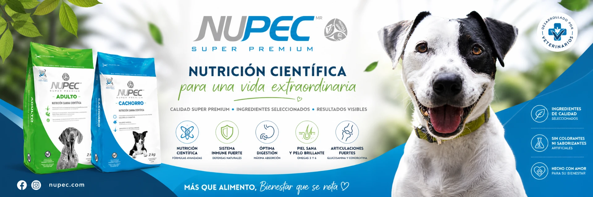 Nupec Super Premium para perros, nutrición científica