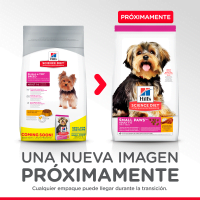 Hill's Science Diet Adult Small Paws