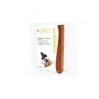 REVOLUTION 12% PERROS 0,50 ML