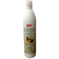 Dermoholliday Shampoo 250Ml