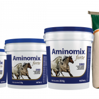 Aminomix Forte