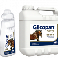 Glicopan Energy