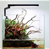 Lampara para nano acuarios - Chihiros Serie CII 🐟 – 🐠 - Imagen 3