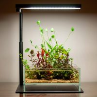 Lampara para nano acuarios - Chihiros Serie CII 🐟 – 🐠 - Imagen 2