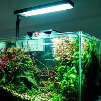 Lampara para nano acuarios - Chihiros Serie CII 🐟 – 🐠 - Imagen 4