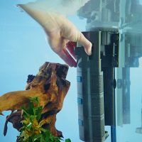 OASE Bioplus - Filtro de acuario interno 🐟🐠 - Imagen 3