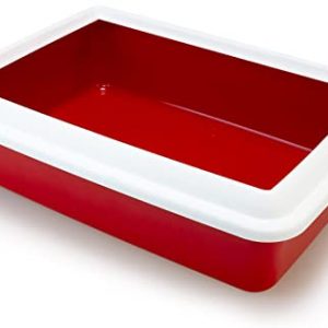 Sanitario Oval Tray Jumbo Vino Tinto 🐱