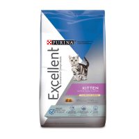 Excellent Cat Kitten - Tienda de Mascotas Shaly.co