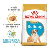 Royal Canin Bulldog Ingles Puppy 3 Kg Dog 🐶 | Perro - Imagen 2