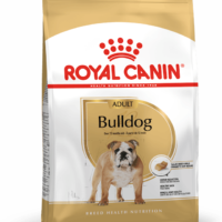 Royal Canin Bulldog Inglés Adult 3 Kg Dog 🐶 | Perro