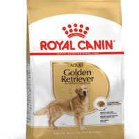Royal Canin Golden Retriever Adult 13.6 Kg Dog 🐶 | Perro