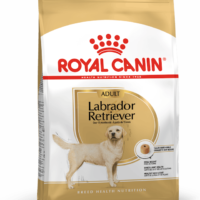Royal Canin Labrador Adult 13.6 Kg Dog 🐶 | Perro