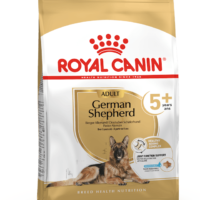 Royal Canin German Ageing 5+ 12 Kg Dog 🐶 | Perro