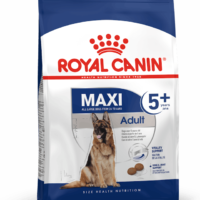 Royal Canin Maxi Adult 5+ 15 Kg Dog 🐶 | Perro