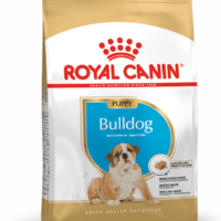 Royal Canin Bulldog Ingles Puppy 3 Kg Dog 🐶 | Perro
