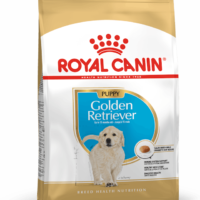 Royal Canin Golden Retriever Puppy 12 Kg Dog 🐶 | Perro