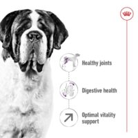 Royal Canin Giant Adult 15 Kg Dog 🐶 | Perro - Imagen 2