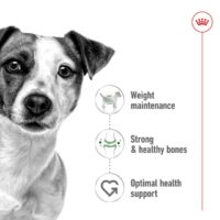Royal Cannin Mini Adult 8 Kg Dog 🐶 | Perro - Imagen 2