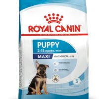 Royal Canin Maxi Puppy 15 Kg Dog 🐶 | Perro