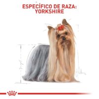 Royal Canin Yorkshire Adult 4.5KG Dog 🐶 | Perro - Imagen 2
