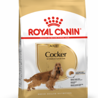 Royal Canin Cocker Adult 3 Kg Dog 🐶 | Perro
