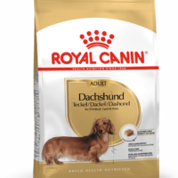 Royal Canin Dachshund Adult 1.5 Kg Dog 🐶 | Perro