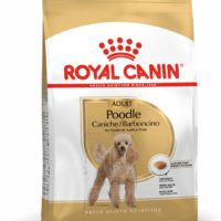 Royal Canin Poodle Adult 1.5 Kg Dog 🐶 | Perro