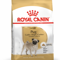Royal Canin Pug Adult 3 Kg Dog 🐶 | Perro