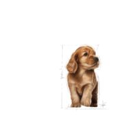 Royal Canin Cocker Puppy 3 Kg Dog 🐶 | Perro - Imagen 2