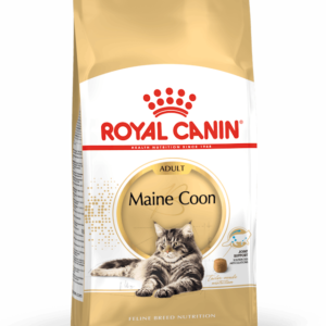Royal Canin Maine Coon Adult 2 Kg Cat 🐱 | Gato