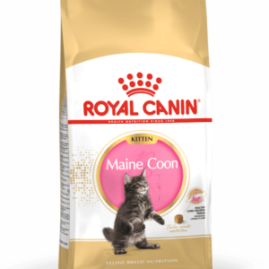 Royal Canin Maine Coon Kitten 4 Kg Cat 🐱 | Gato