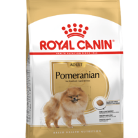 Royal Canin Pomeranian Adult 3 Kg Dog 🐶 | Perro