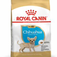 Royal Canin Chihuahua Puppy 1.13 Kg Dog 🐶 | Perro