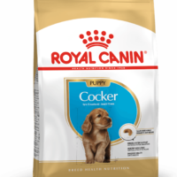Royal Canin Cocker Puppy 3 Kg Dog 🐶 | Perro