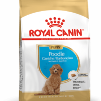 Royal Canin Poodle Puppy 3 Kg Dog 🐶 | Perro