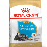 Royal Canin MiniSchnauzer Puppy 1.13 Kg Dog 🐶 | Perro