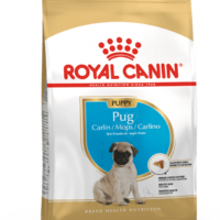 Royal Canin Pug Puppy 1.13 Kg Dog 🐶 | Perro