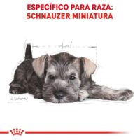 Royal Canin MiniSchnauzer Puppy 1.13 Kg Dog 🐶 | Perro - Imagen 2