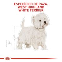 Royal Canin West Highland White Terrier Adult 3 Kg Dog 🐶 | Perro - Imagen 2