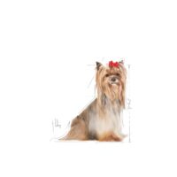 Royal Canin Yorkshire Terrier 8+ 1.5 Kg Dog 🐶 | Perro - Imagen 2