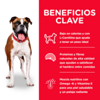 Hills Science Diet C Adulto light Ob 15 Lbs 🐶 7.25Kg | Hill's - Imagen 5