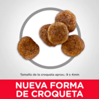 Hills Adult 7+ Small Bites 15 lb o 6.8 kg | alimento | Perros senior | bocados pequeños | |🐶 | Perro | Hill's - Imagen 4