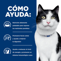 Hills  i/d Alimento Seco para Gatos 4 Lbs 1.81 Kg | 😽 | Gatos | Hill's - Imagen 7