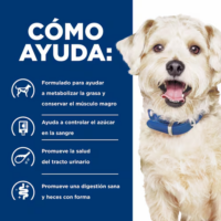 Hills Alimento C w/d Multi-Benefit Alimento Seco para Perros 17.6 Lb 7.98 kg |🐶 | Perro | Hill's - Imagen 3