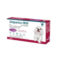 Simparica Morado
