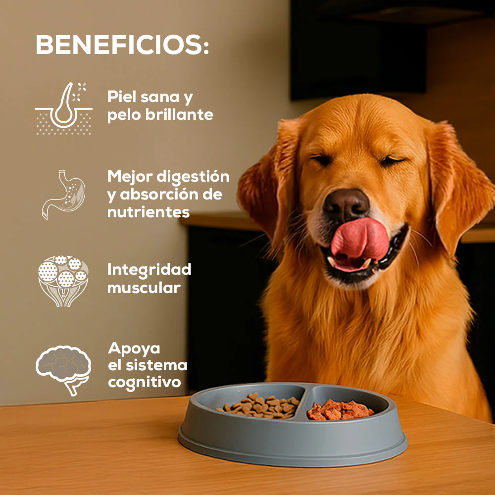 Grand Vita Cordero Adulto 8KG 🐶 | Perro - Imagen 4
