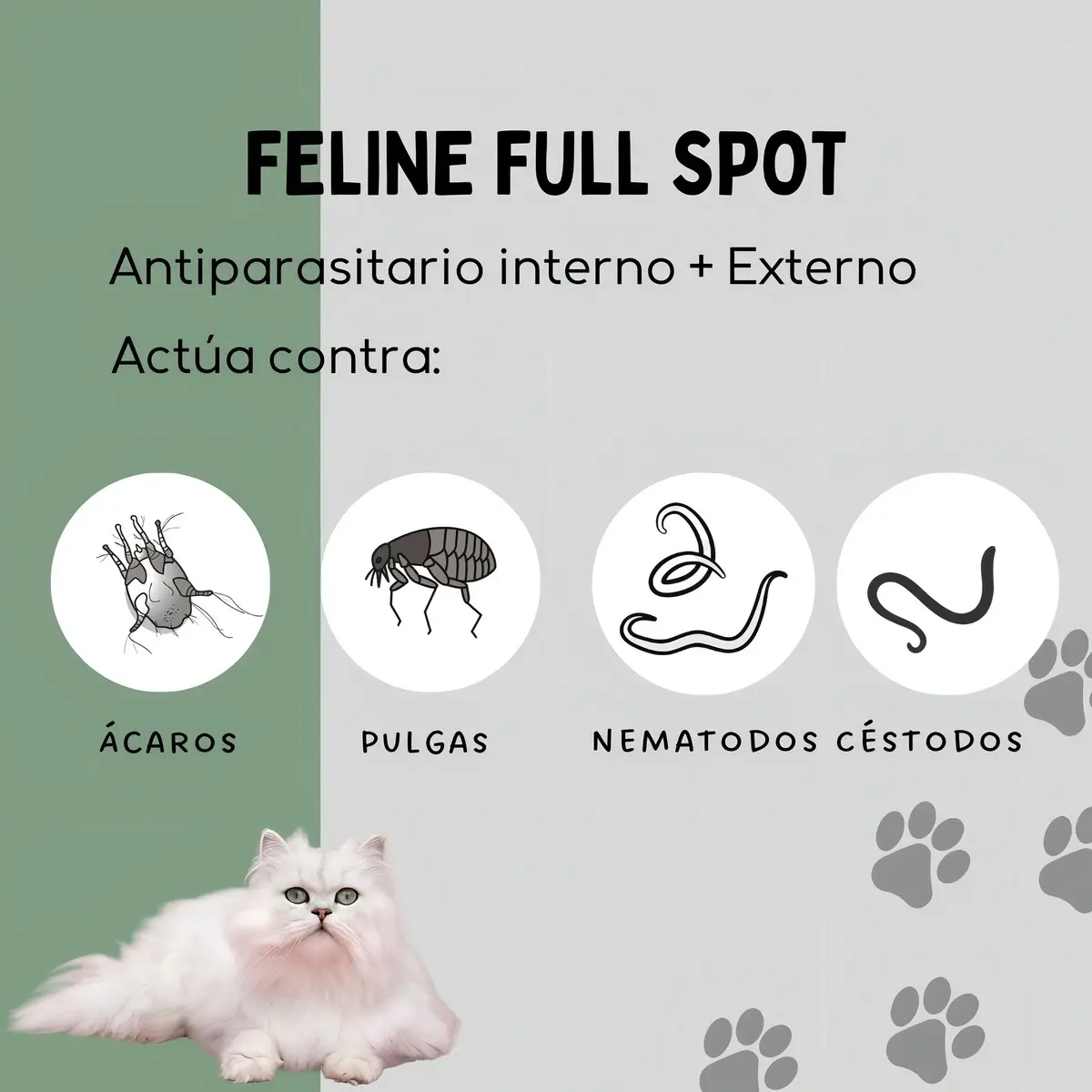 Feline Full Spot de 2 - 5 kg😺 Labyes - Imagen 2
