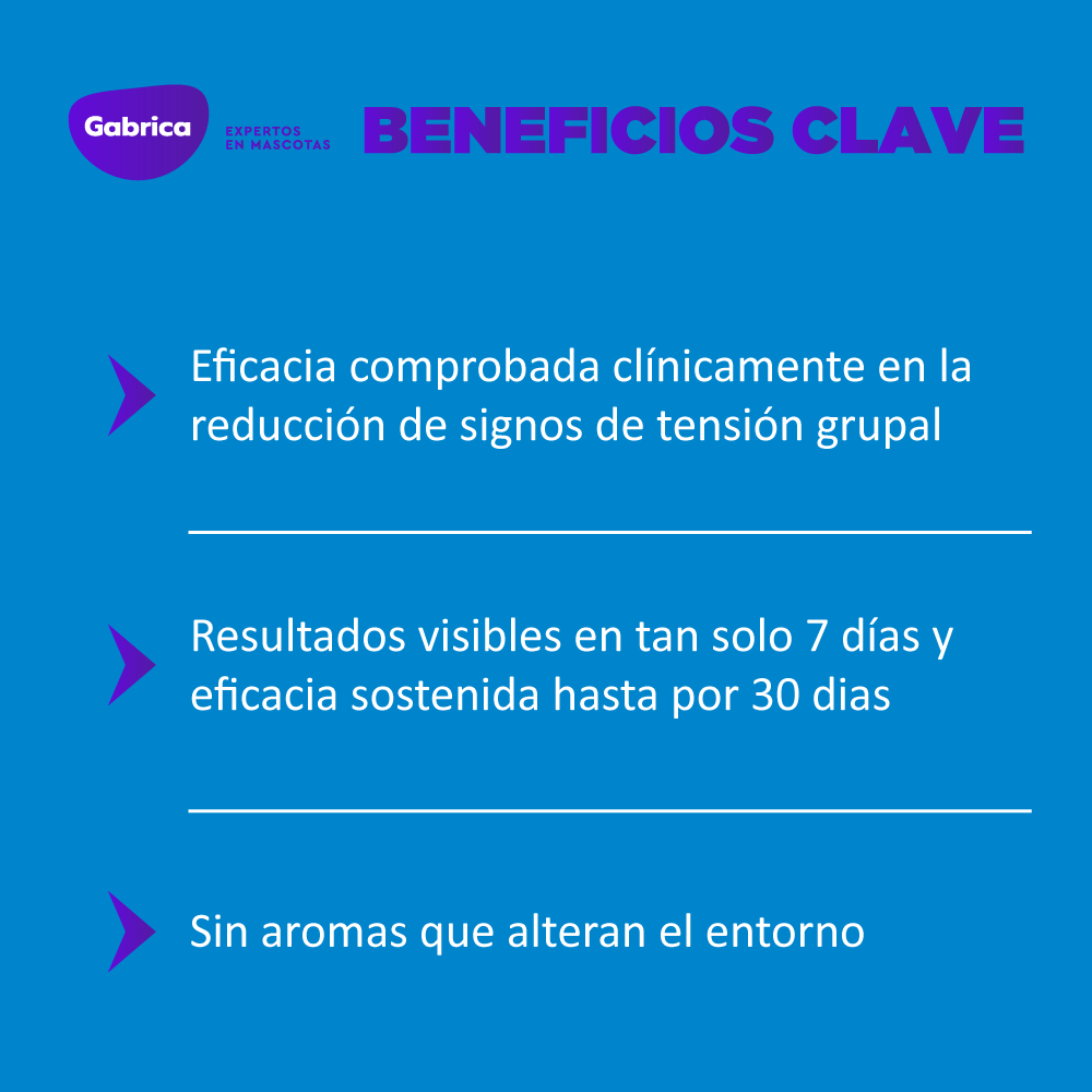 Feliway Classic recarga 48 ml 😺 Tranquilidad y bienestar - Imagen 2